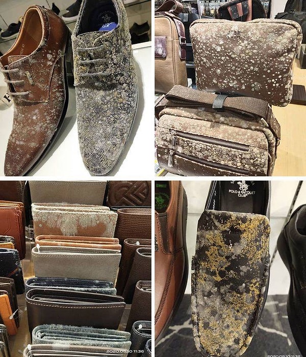 1. Это то, что произошло с кожаными изделиями в магазине, который был закрыт в течение 53 дней во время карантина коронавируса (это произошло в Малайзии, где уровень влажности очень высок).