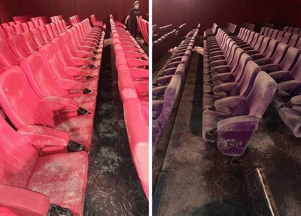 2. Это тоже Малайзия: плесень поглотила все