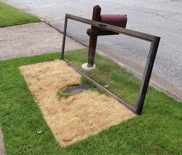 13. Трава превратится в это, если вы положите на нее стеклянную дверь на некоторое время.