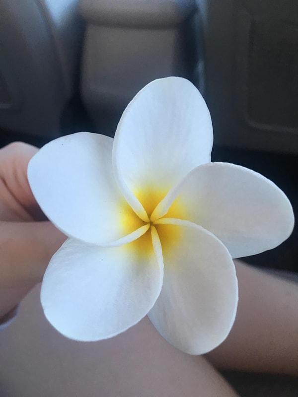 13. "Birkaç ay önce Hawai'de bulduğum çiçek:"