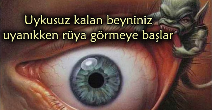 Farazi Sorulara Mantıklı Cevaplar: Hiç Uyumasaydık Ne Olurdu?