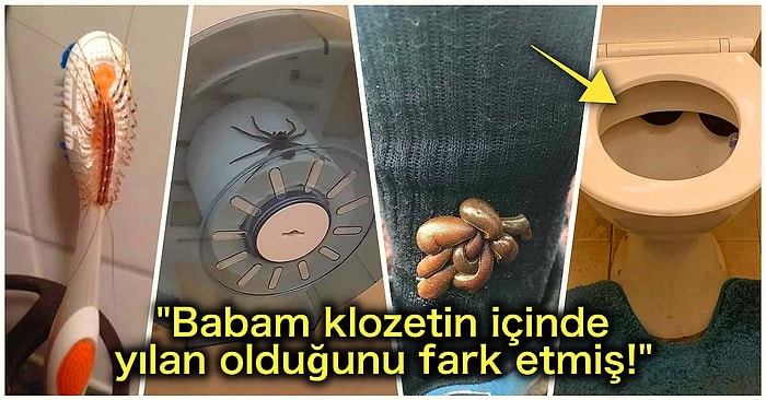 Doğanın Korkutucu Yüzünü İliklerinize Kadar Hissetmenize Sebep Olacak Hepsi Birbirinden Ürkütücü 21 Fotoğraf