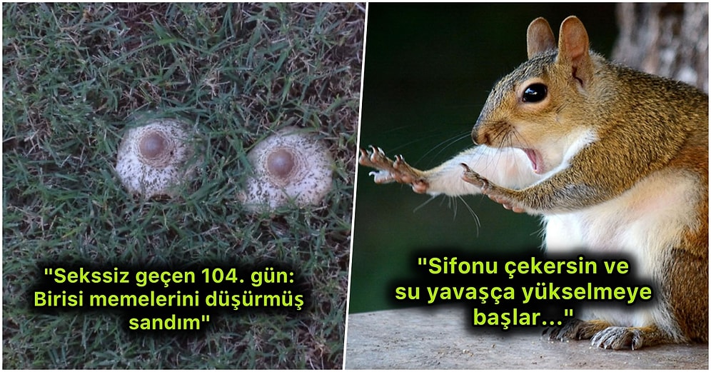 Yaptıkları Nokta Atışı Capslerle Yüzünüzde Kocaman Bir Gülümseme Yaratacak 20 Uluslararası Mizahşör