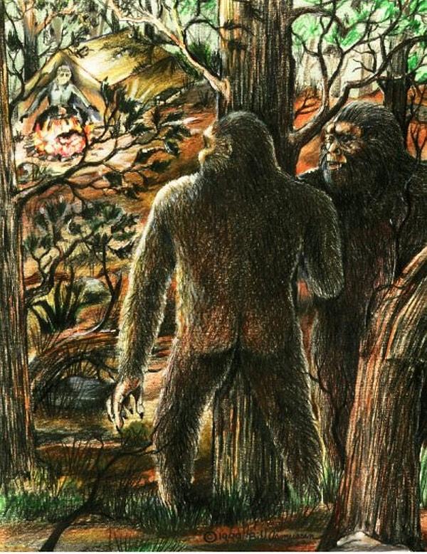 15. 'Yowie' yani Koca Ayak olarakta bilinen bu yaratık Avusturalya'nın efsaneleri arasındadır. Geceleri ormanda dolaşıp gündüzleri kaçan bu yaratık halen bulunmaya çalışılan bir efsanedir.
