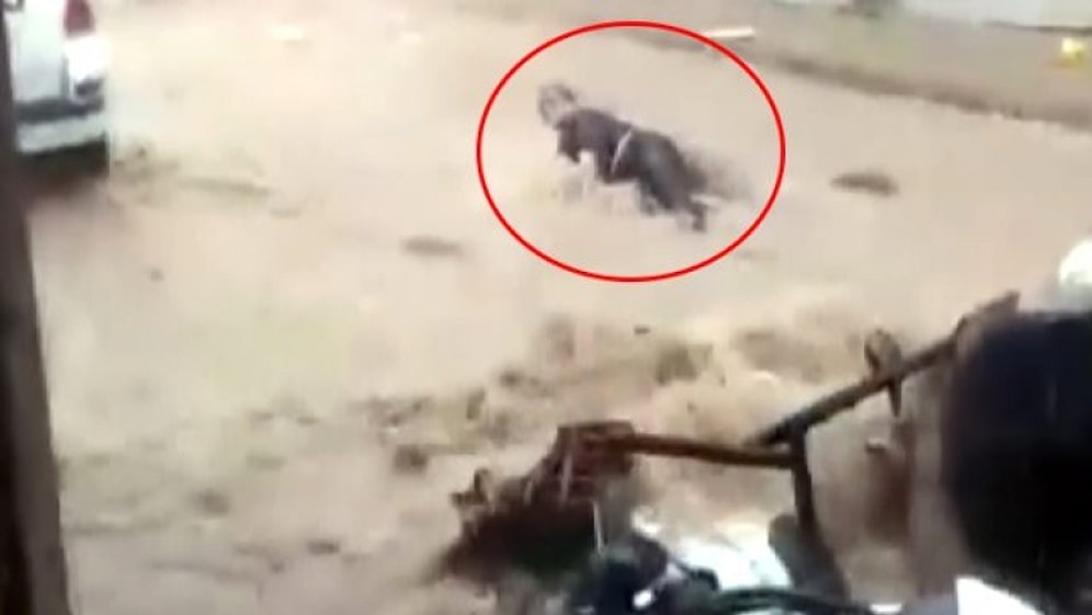 Bursa'da Meydana Gelen Sel Felaketinde Suyun İçinde Sürüklenen Kadının Korkutan Görüntüsü