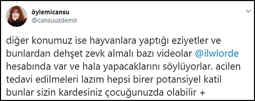 Bunu da Gördük: Evcil Hayvanlarını Kesip, Instagram Gruplarında Eğlenen Gençler!