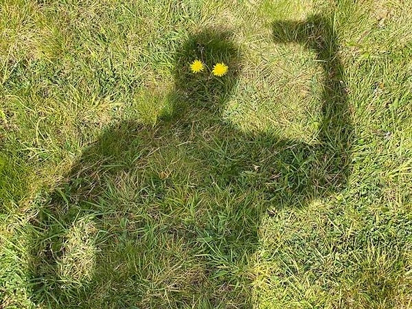 "Я не мог пройти мимо этих двух одуванчиков."