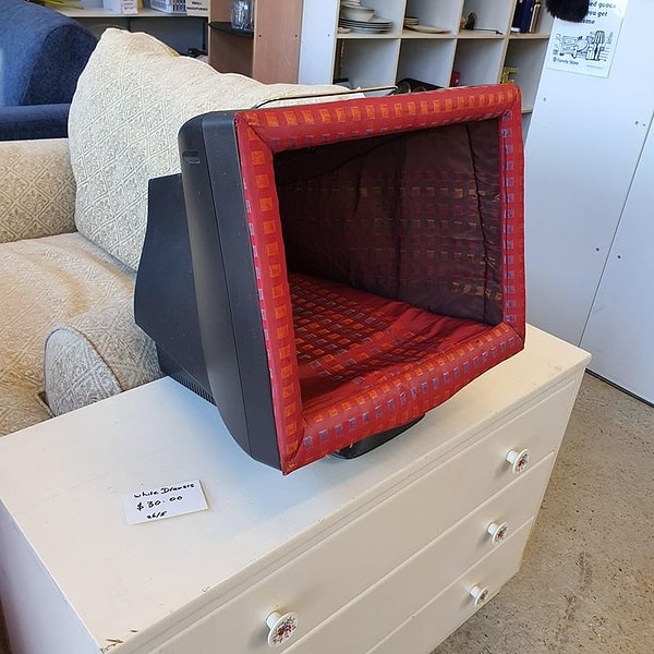 "Сегодня я нашел этот монитор/кошачью кровать в комиссионке."