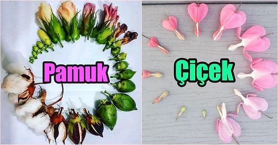 Hayatın Doğum, Yaşam ve Ölüm Olmak Üzere 3 Evreden Oluştuğunu Çektiği Fotoğraflar ile Bize Bir Kez Daha Gösteren 21 Kişi