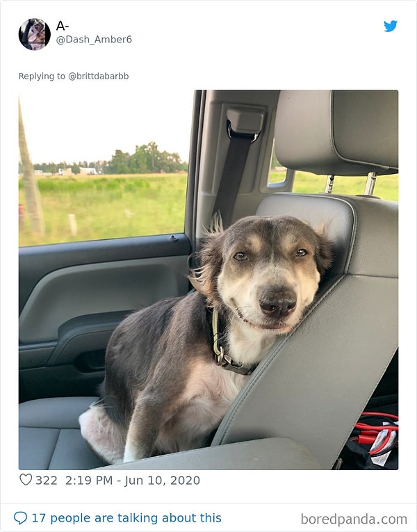 3. Кто хороший мальчик?