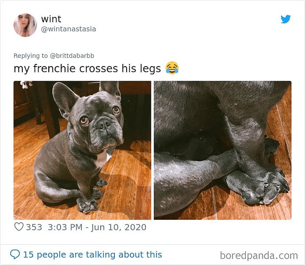 5. Мой француз скрестил свои ноги