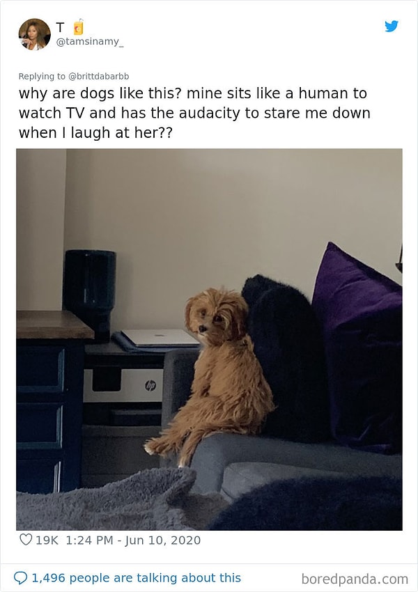 6. Почему она сидит в этой позе, когда смотрит телевизор? А когда я смеюсь над ней, она имеет смелость посмотреть на меня этим взглядом?