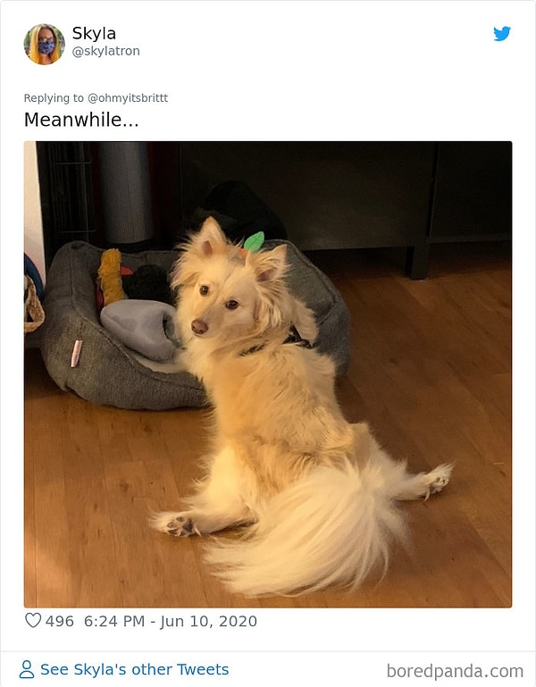 12. Тем временем