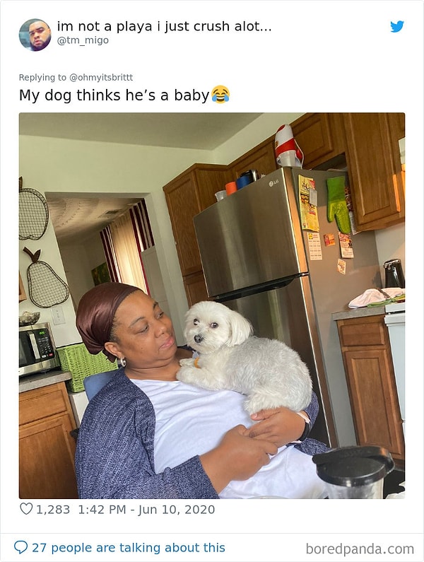 14. Мой песик думает, что он ребенок