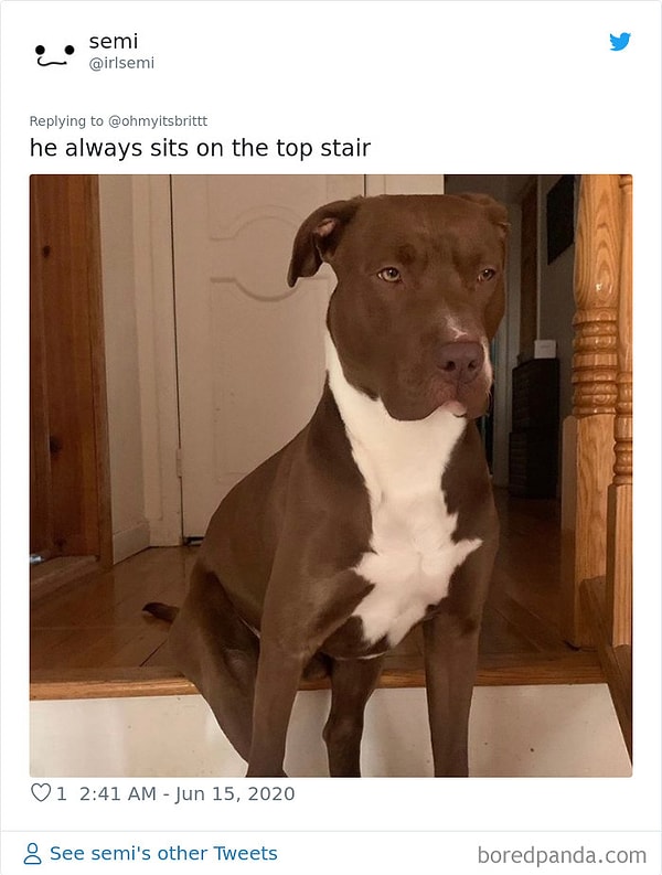 15. Он всегда сидит на самом верху лестницы