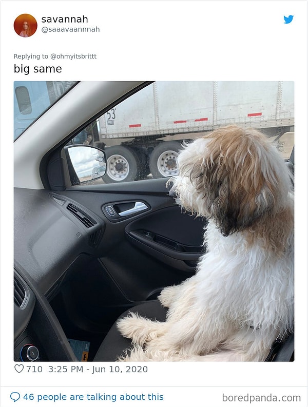 24. Как человек