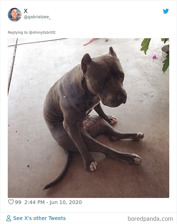 28. Загрустил