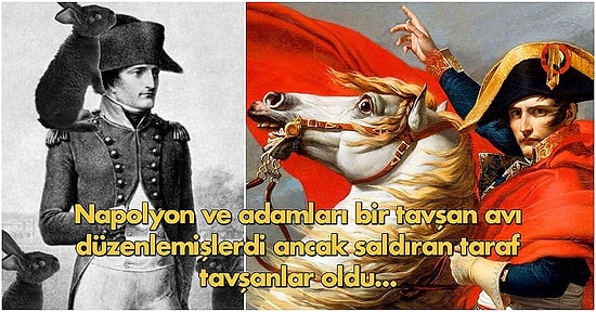 Okuduktan Sonra Hayatınızda Bir Çığır Açmasa Bile En Azından Öğrenme Açlığınızı Doyuracak 13 Bilgi