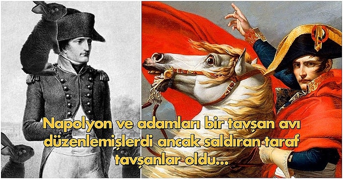 Okuduktan Sonra Hayatınızda Bir Çığır Açmasa Bile En Azından Öğrenme Açlığınızı Doyuracak 13 Bilgi