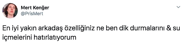 1. "@PrisMert" isimli Twitter kullanıcısı takipçilerine en iyi yakın arkadaş özelliklerinin ne olduğunu sordu. Biz de kendinizi bulacağınız cevapları sizler için topladık.