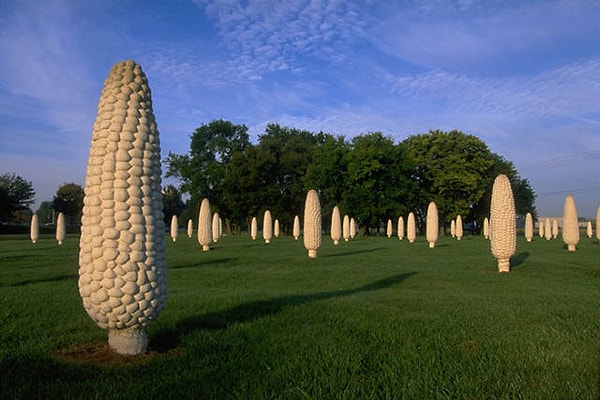 10. Странное кукурузное поле в штате Огайо