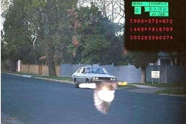 24. 'Kuş kameranın önünden geçerek arabanın hız cezası yemesini engellemiş.'