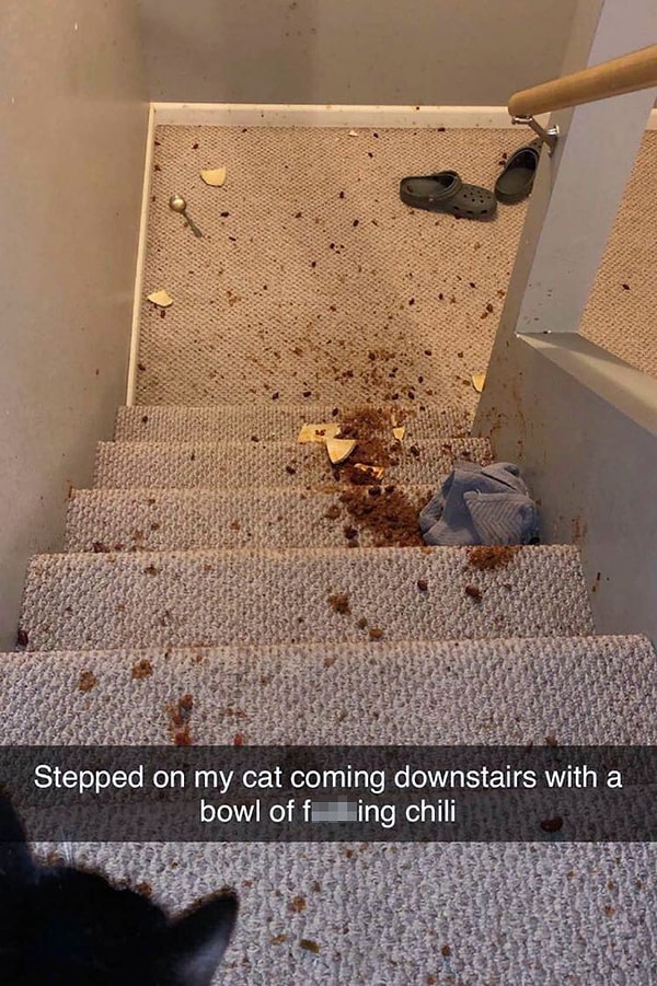 24. Наступил на своего кота, когда спускался вниз по ступенькам с тарелкой еды