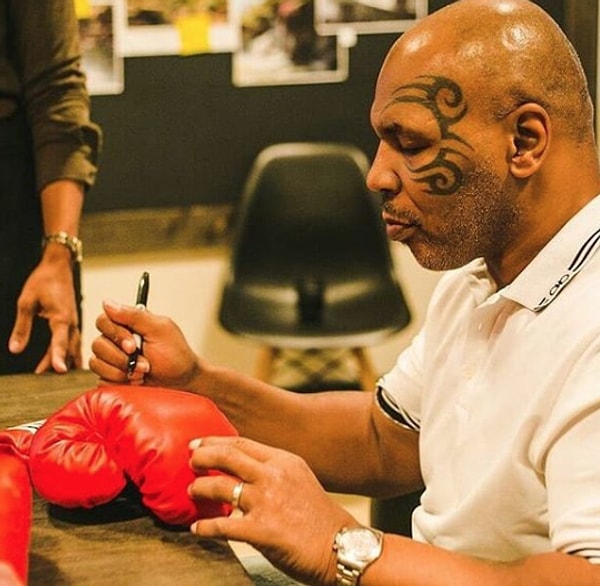 9. Майк Тайсон заплатил 150 тысяч за два бенгальских тигра, которых он купил.