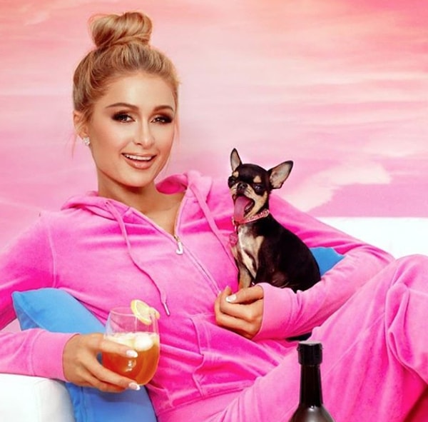 14. Пэрис Хилтон потратила 325 тысяч долларов на виллу, которую она купила для своих собак!