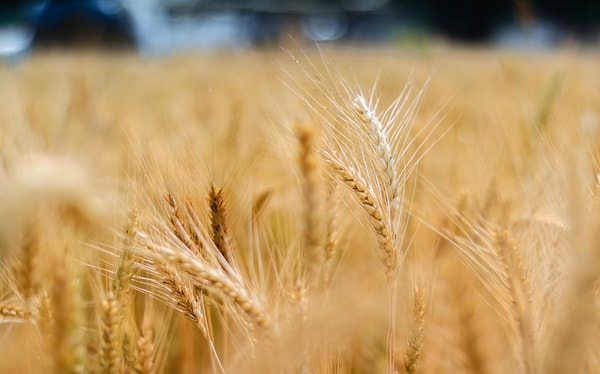 17. "До моей беременности у меня была аллергия на клейковину, которая заставляла все мое тело отекать, и она исчезла после родов...