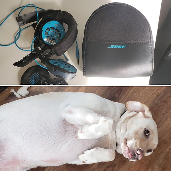 28. А вот и мои наушники за 300 долларов