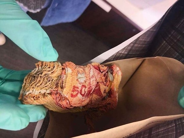 10. Так выглядят $5000 после того, как кто-то использовал микроволновую печь для дезинфекции денег