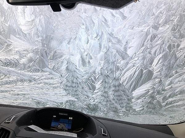 19. Aracınızın camı böyle buzlansa temizlerken kaç kez düşünürdünüz?
