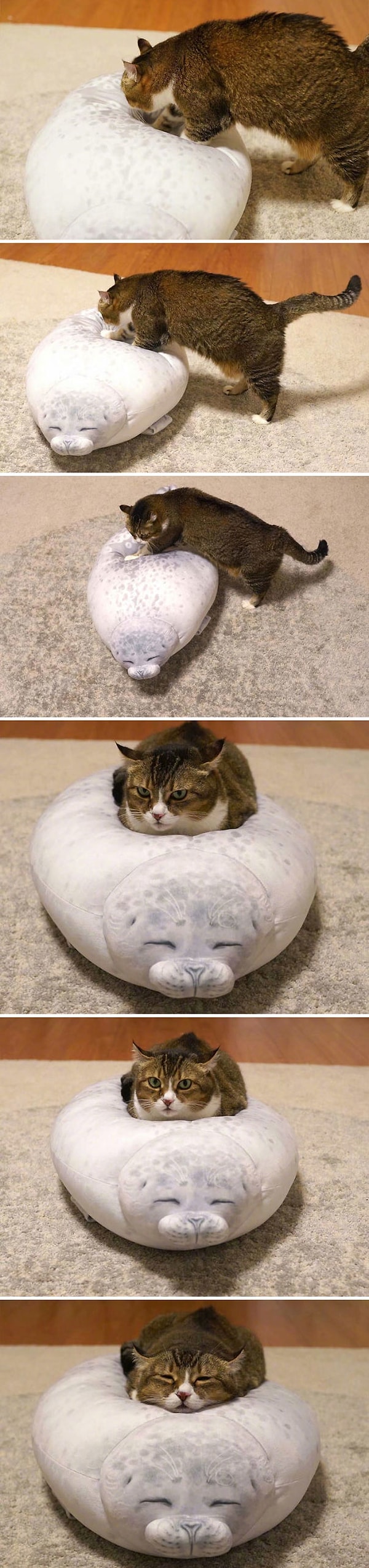 1. Так мягенько