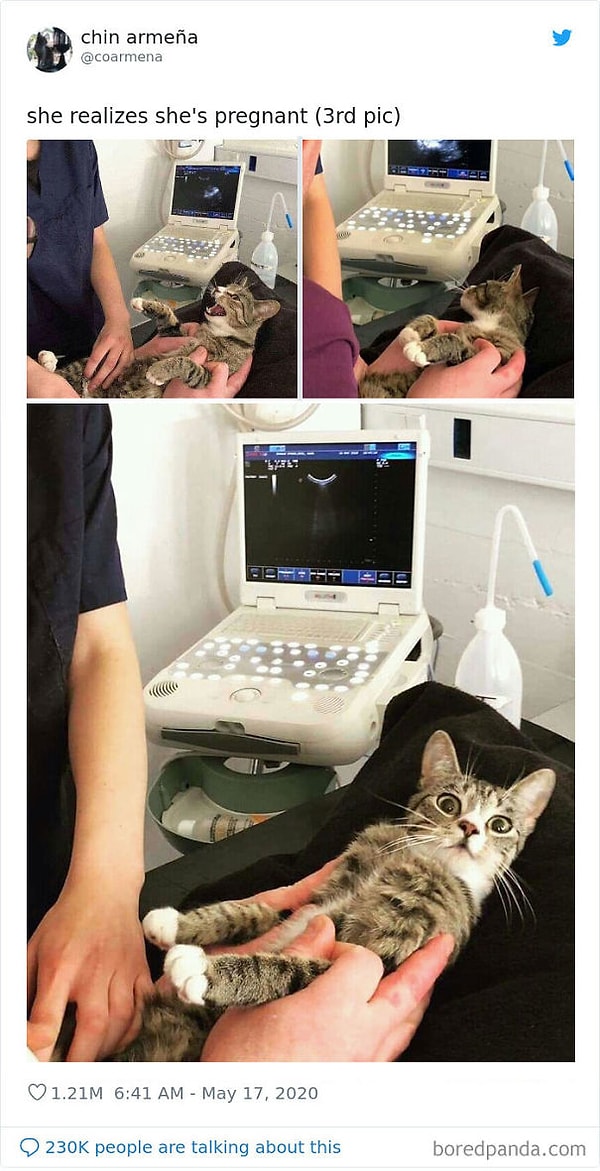 12. Она только осознала, что беременна