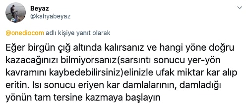 Hayat Kurtaracak Kıvamdaki Saçma Bilgileriyle Bizi Adeta Serengeti Kırsalının Aslanına Dönüştüren 18 Takipçimiz