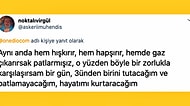 Hayat Kurtaracak Kıvamdaki Saçma Bilgileriyle Bizi Adeta Serengeti Kırsalının Aslanına Dönüştüren 18 Takipçimiz