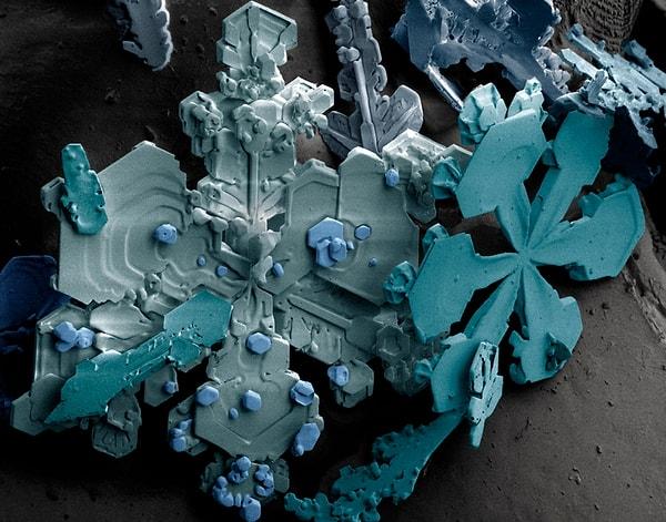 2. Düşük sıcaklıkta taramalı elektron mikroskobu ile görüntüsü büyütülen kar taneleri:
