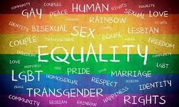14. LGBTIQA+ Açılımı: Lezbiyen, gay, biseksüel, trans, interseksüel, queer, aseksüel. Queer, cinsiyet kimliğinin ve cinsel yönelimlerin sabit olmadığını, insanları belirli kimlik tanımları üzerinden genellemenin doğru olmayacağını ifade eden bir tanımdır.