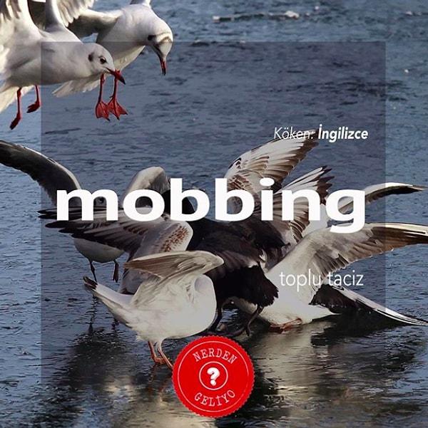 4. Mobbing