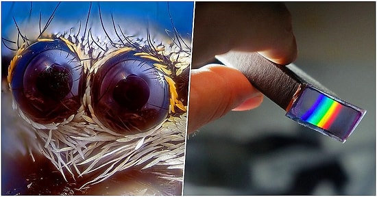 Rusya'da Yapılan 2020 Bilim Fotoğrafları Yarışması'nda Bu Yılın En İyi Fotoğrafları Seçildi!