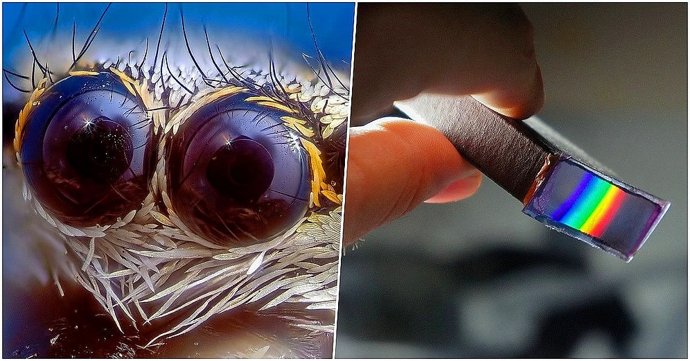 Rusya'da Yapılan 2020 Bilim Fotoğrafları Yarışması'nda Bu Yılın En İyi Fotoğrafları Seçildi!