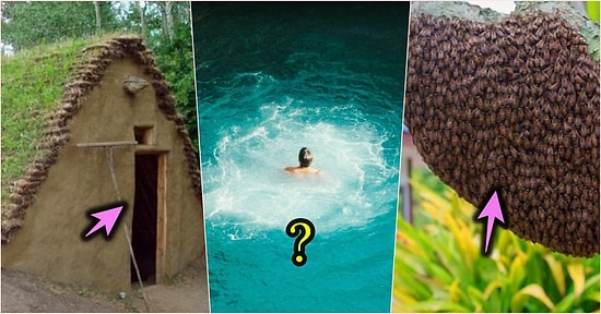 Ummadığınız Bir Anda Hayatınızı Kurtarabilecek Kulağa Küpe Yapılması Gereken Birbirinden Değerli Bilgiler