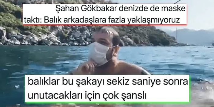 Bir Hafta Boyunca Ünlüleri Mizahına Alet Ederek Güldüren Kişiler