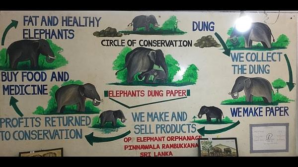 10. Hindistan'da fil dışkısından kağıt ürünler üreten bir şirket var.