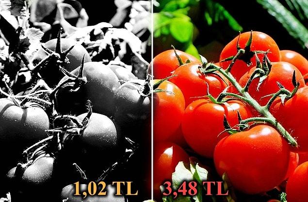 Kilosu 1 TL'den 3,48'e çıkan domates!