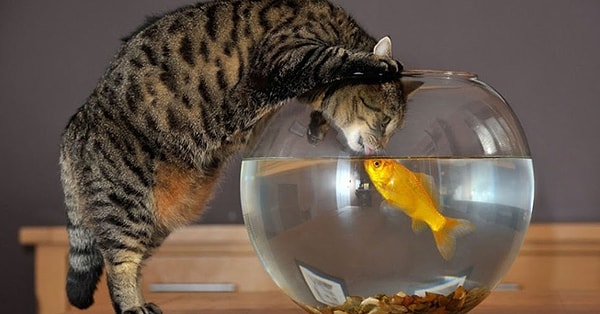 7. Гильермо Дель Торо