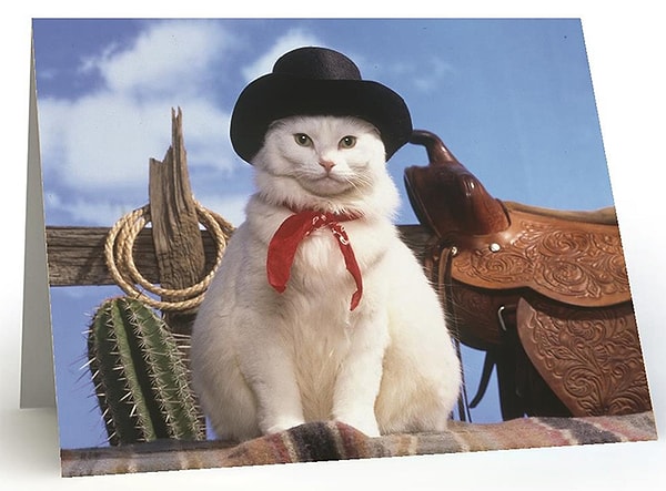 13. Серджо Леоне