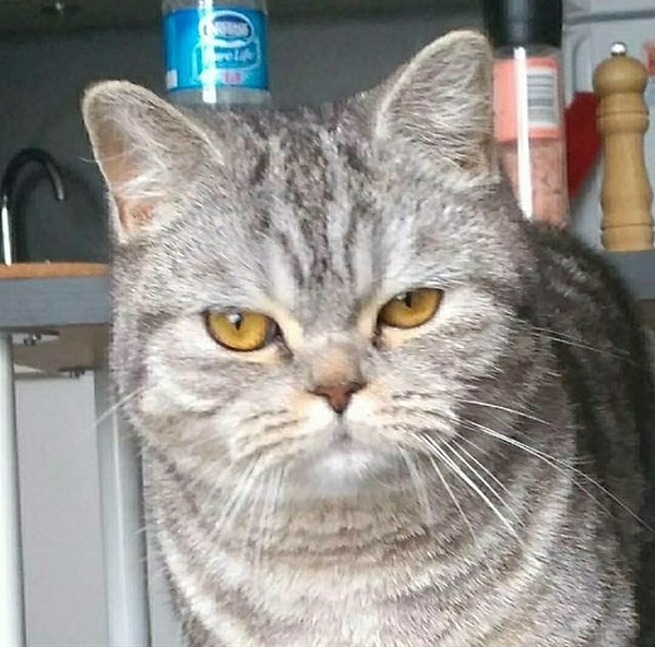 18. Стэнли Кубрик