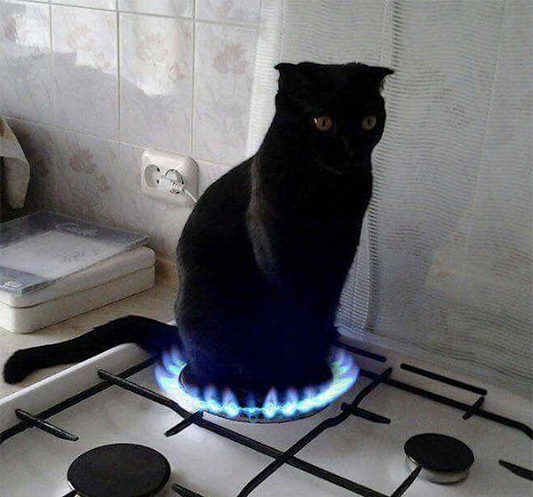 19. Дэвид Финчер